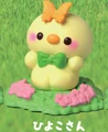 chick