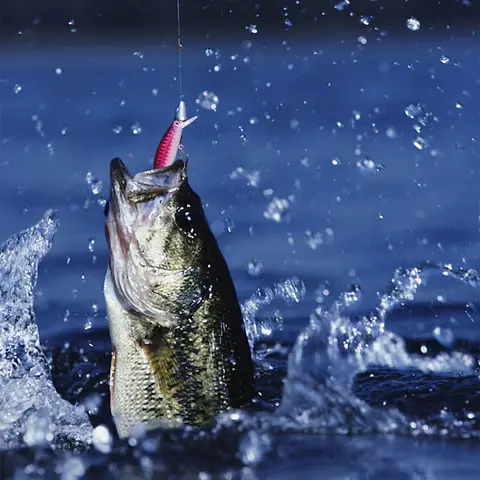 5pcs 9cm 10g Fishing Lures Artificial Hard Bait Sinking Wobbler for Trout Bass Carp Fishing Accessories