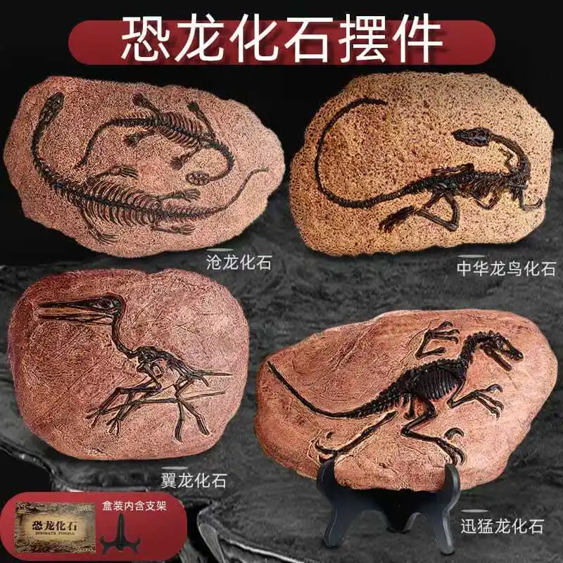

Creative Dinosaur Fossil Resin Craft Decoration Retro Animal Statue Miniature Indoor Living Room Decoration Souvenir Home Gift