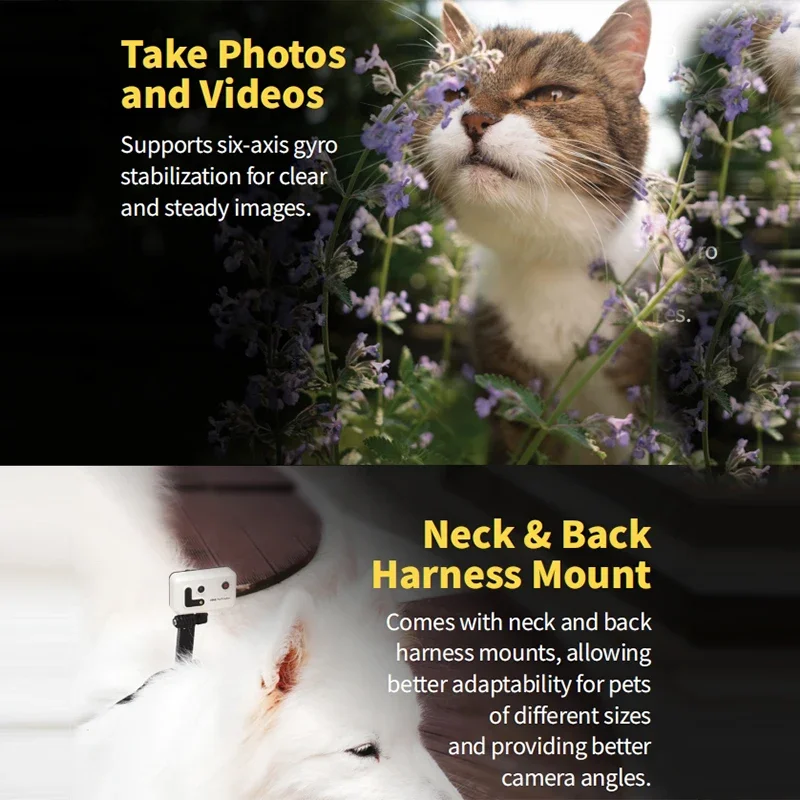 2025 Pet GPS Tracker with Camera 89° Real Time Filming Voice Interact SOS Pet Tracking with APP for Dogs