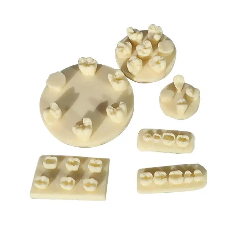 Dental Resin Model Tooth Morphology Practice Root Canal Filling Inlay Training Teaching Tool