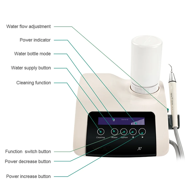 Professional Dental Ultrasonic Scaler With Water Bottle Handpiece EMS Compatible Veterinary LED Light Dental Ultrasonic Scaler