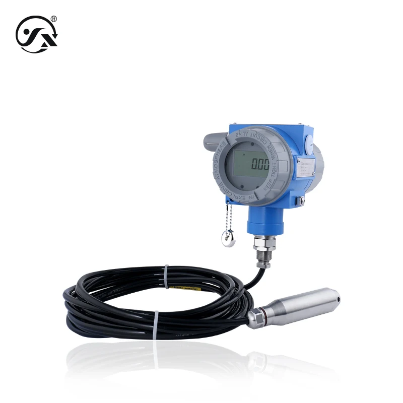 CYW101 Gauge Remote Submersible NB-IoT Water Level Transmission Sensor Wireless Liquid Level Transmitter Smart