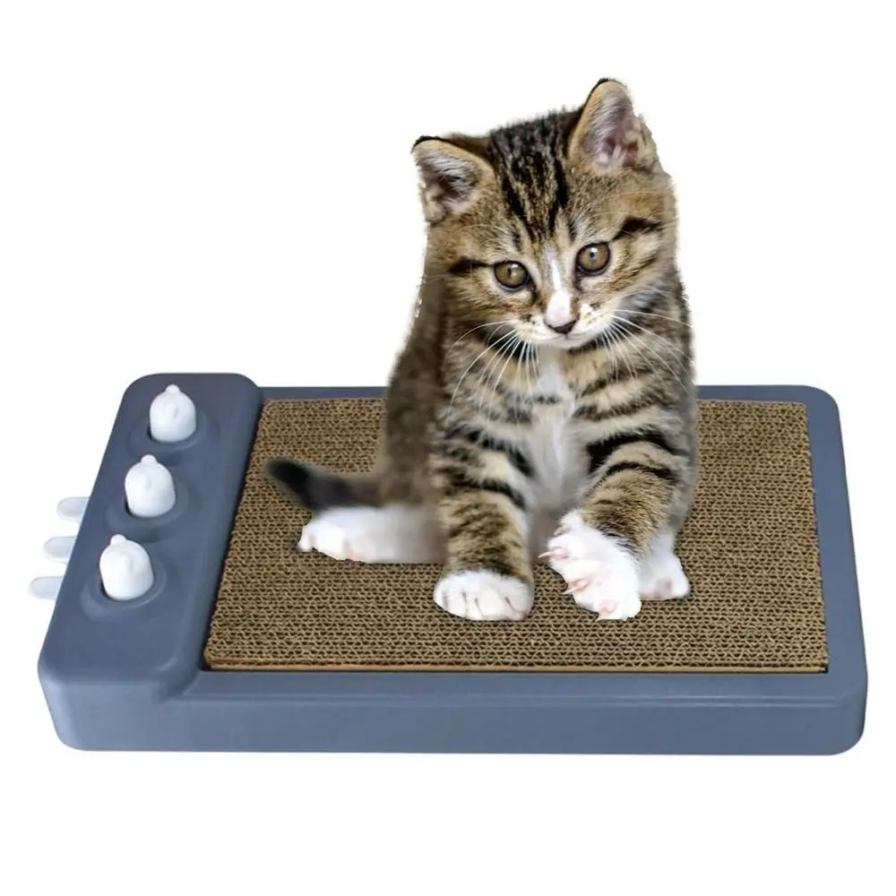 Unbreakable Cat Scratching Board Two Sided Replaceable Cat Scratcher Toy Portable Pet Training Supplies Grinding Claws