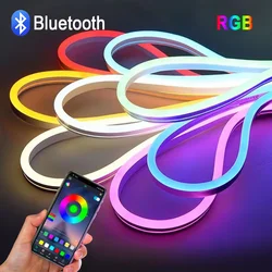 EU Plug DC12V/24V RGB Neon LED Strip，1/2/3/4/5/10/15M Neon RGB Strip With Bluetooth/Remote control for Home Neon Decor Lighting