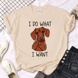 Dachshund top women streetwear summer funny tshirt girl graphic clothes