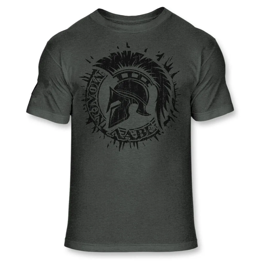 American Spartan Warrior T-Shirt Patriotic Molon Labe Athletic Blend Men TShirt Short Sleeve Casual Cotton O-Neck T Shirt