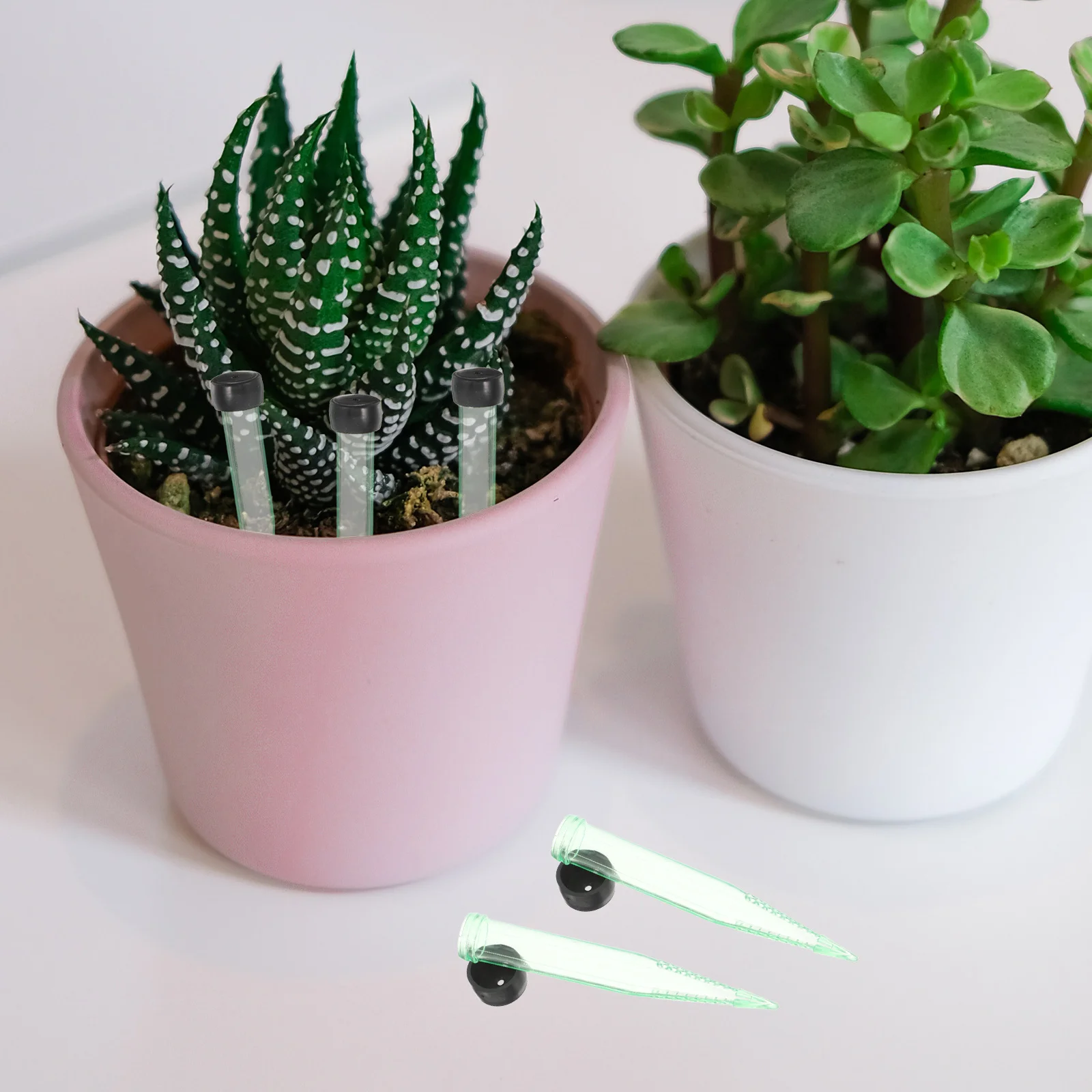 

50Pcs Pointed Plastic Flower Tubes Clear Floral Vials Reusable Water Holders for Fresh Flowers Bouquet Arrangement Supplies