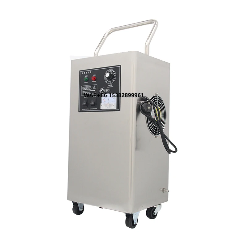 Portable 10g Ozone Generator Water-Ozone Cleaner with 220v Voltage 1-Year Warranty