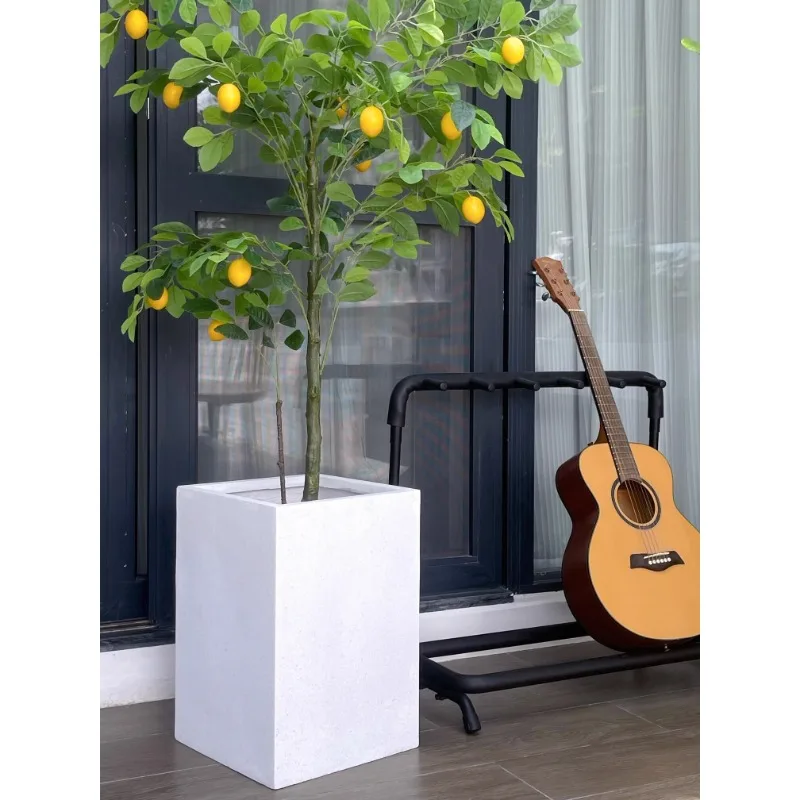 Nordic minimalist magnesium mud square high floor-to-ceiling flowerpot piano, leaf fir, bird of paradise, wabi sandy wind floor-