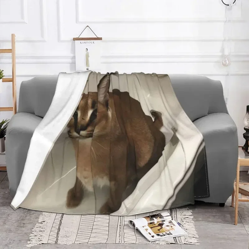 Big Floppa Caracal Cat Cute Meme Blanket Soft Coral Fleece Warm Flannel Bathtub Throw Blankets for Sofa Car Bedroom Bedspread