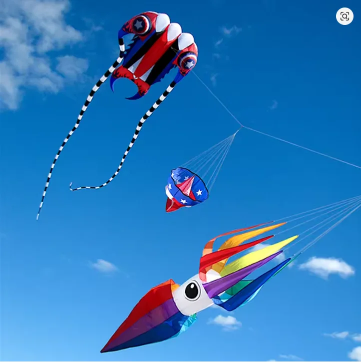 3M Squid Kite Line Laundry Soft Kite Nylon Flying Display Kite for Adults Outdoor Festival