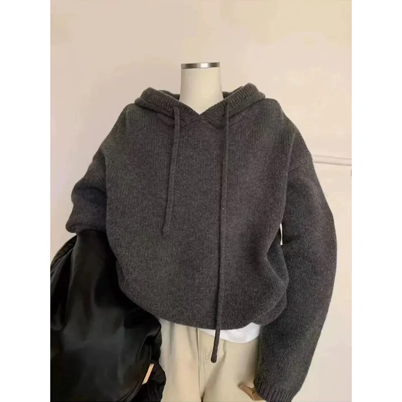 

Autumn Knitted Hoodie for Women Korean Loose Thick Warm Casual Sweatshirt Solid Simple Basic All Match Pullover Sweater New