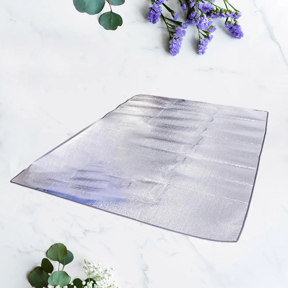 

Picnic Blanket Moisture-proof Pad Mat Multifunctional Camping Waterproof Silver