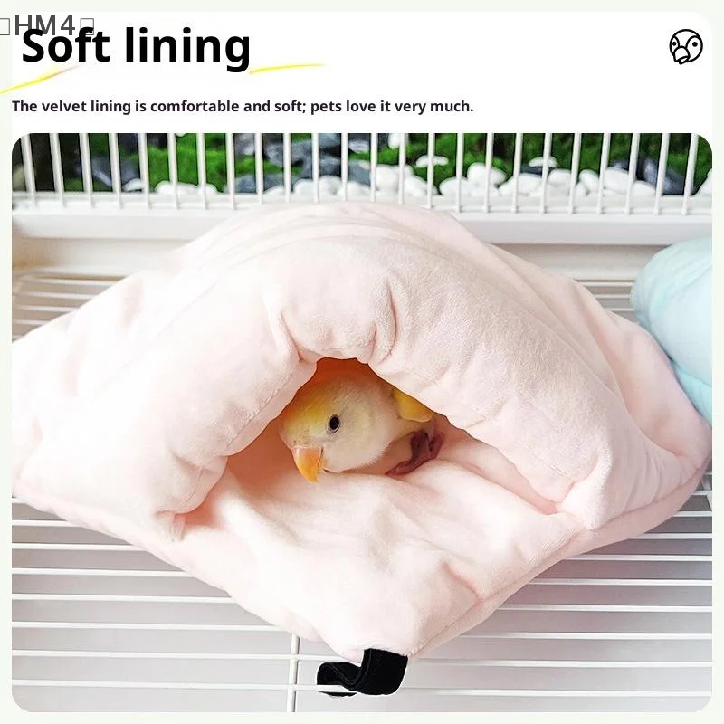 〔Hm4〕Pet Bird Parro…