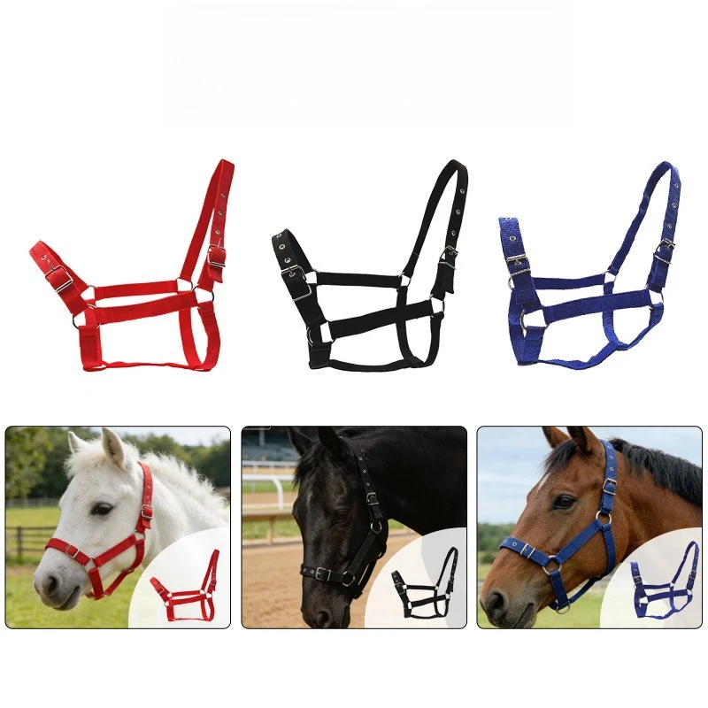 Adjustable Horse Bridle Set with Reins & Headstall - Universal Fit for Ponies & Small Horses