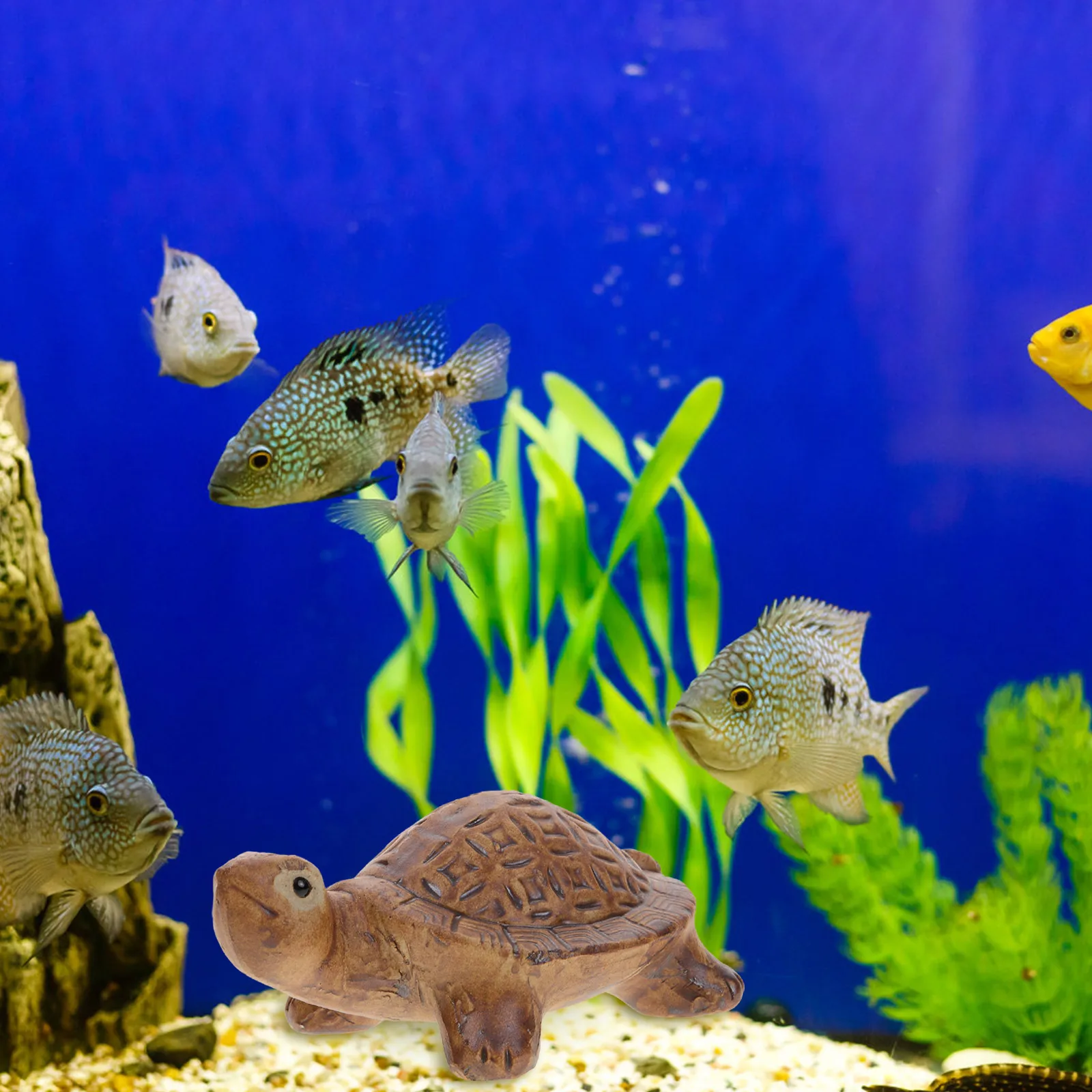 

Statue Small Table Decor For Desk Fish Fish Tank Turtle Tank Ornament Turtle Animal Simulation Decoration