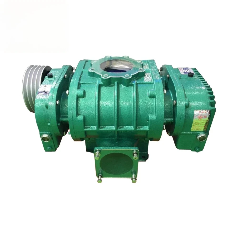 Energy saving and efficient roots vacuum pump From China