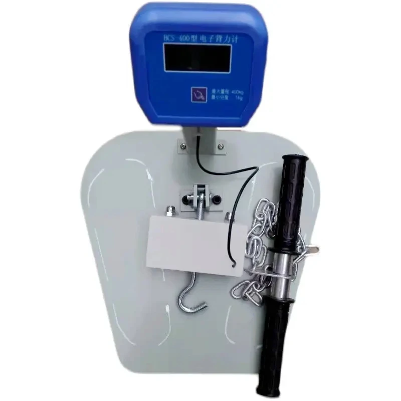 Evaluation of Back and Lumbar Muscle Function and Physical Fitness Testing Rehabilitation with Electronic Backforce Meter