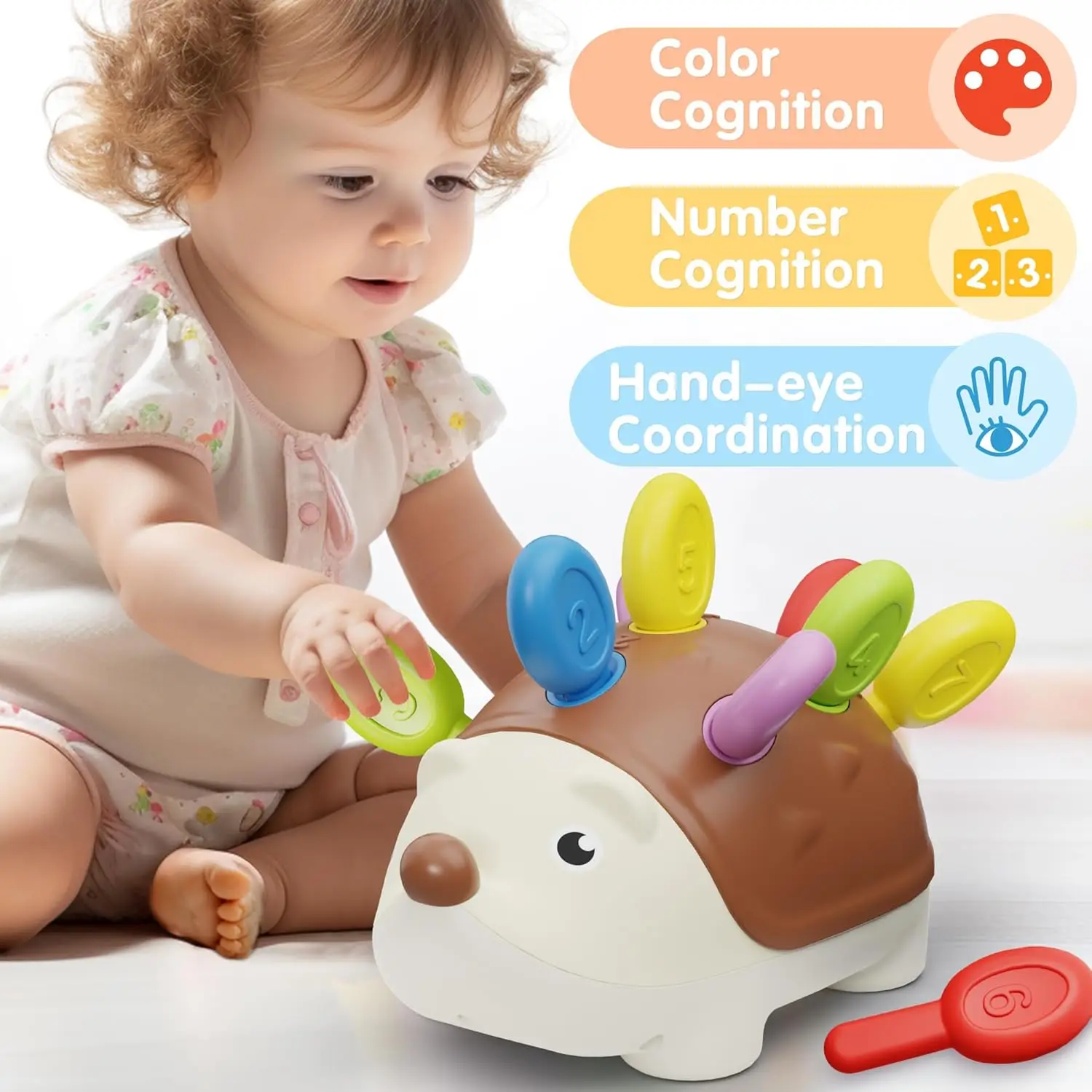 Riccio Montessori Giocattoli per bambini Coordinazione occhio-mano Addestramento motorio fine Sviluppa concentrazione Giocattolo educativo sensoriale per bambini