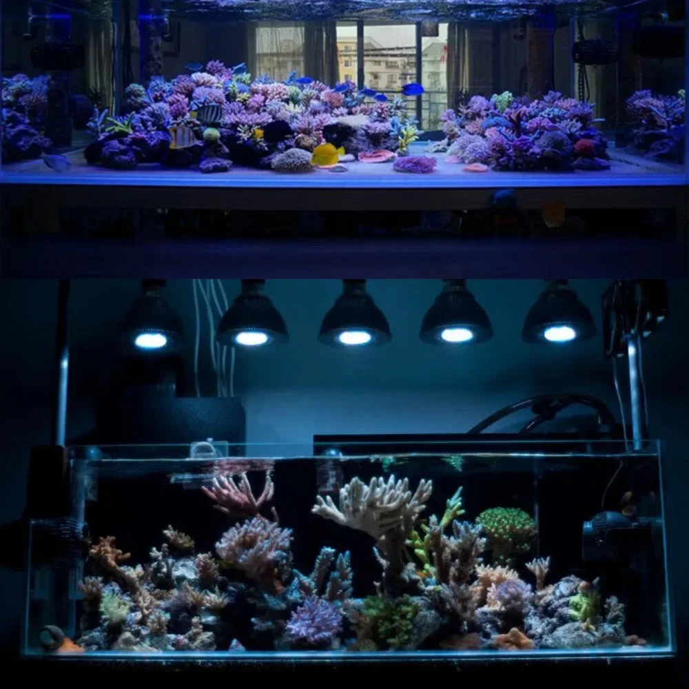 

Aquarium Light LED Bulb 12-54W Deep Penetration Fish Tank LED Reef Decoration Light for Saltwater Freshwater Fish Coral Reef