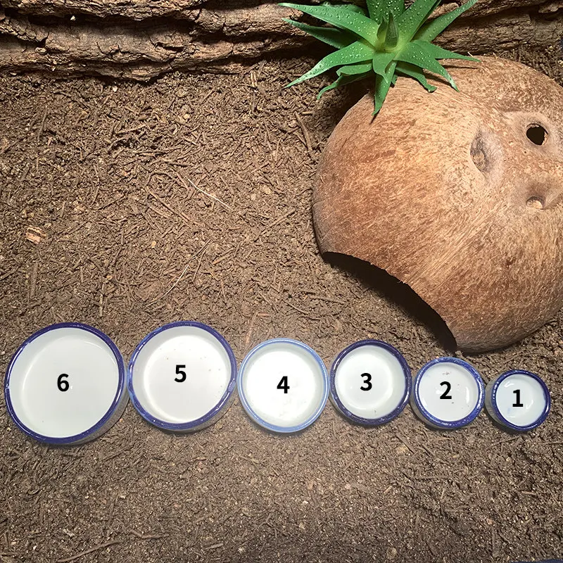 Mini Ceramic Water Bowls for Reptiles and Insects,Food Bowls for Crickets,Mantises,Grasshoppers,Spiders,Scorpions,Palace Guards - Image 3