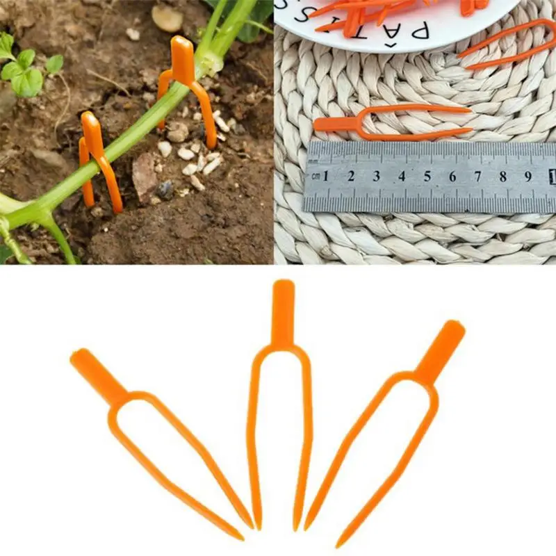 Planting Fork For Seedlings 50pcs Vine Pressing Device 65mm Garden Plant Climbing Support Farming Securing Fixer Garden Supplies