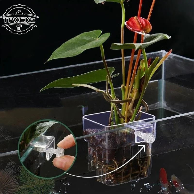 Aquarium Fish Pot - Pot Tanaman Akuarium Transparan yang Dapat