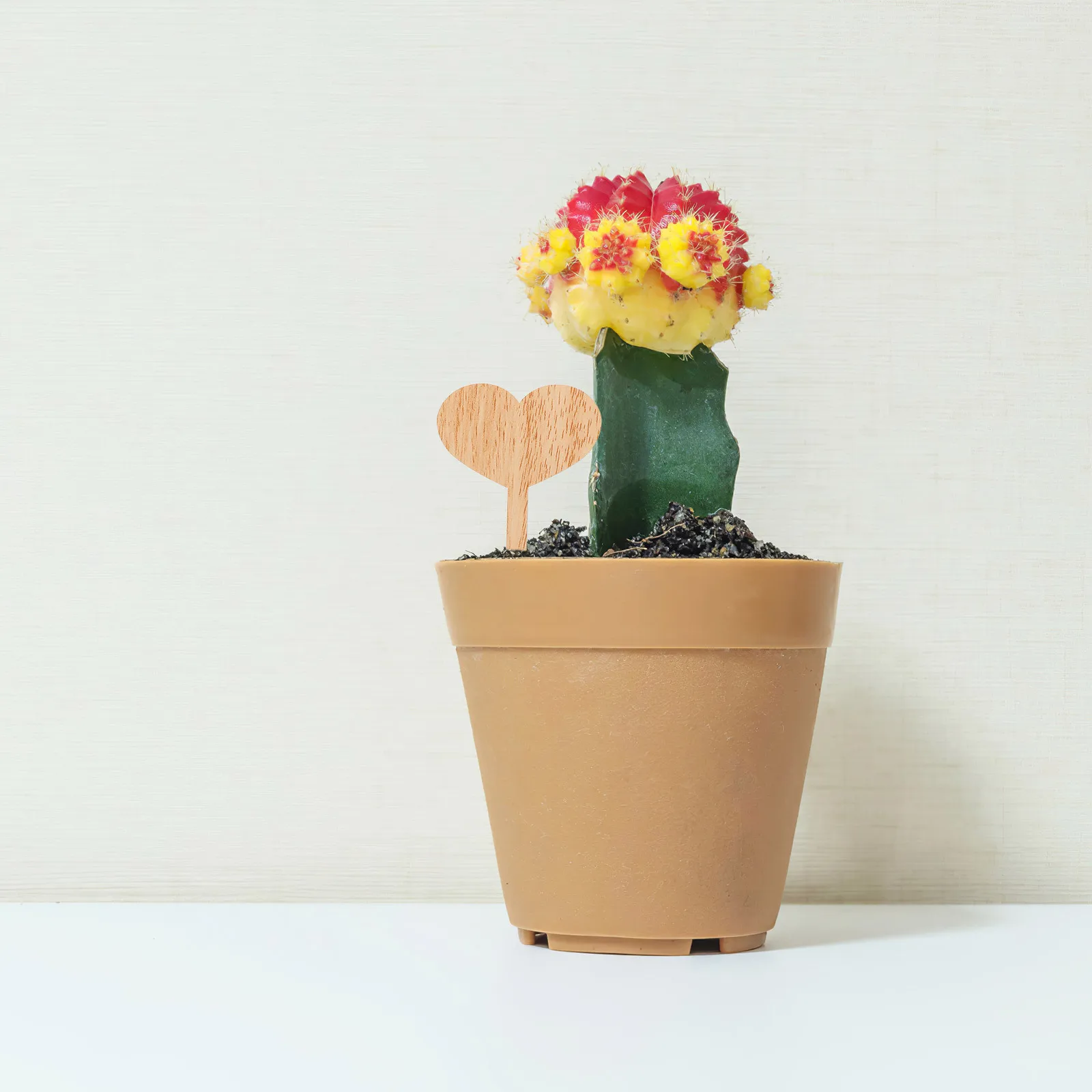 

30Pcs Small Plant Markers Lightweight Garden Labels for Potted Plants Indoor Outdoor Use Stylish Reusable Vegetable Tag Signs