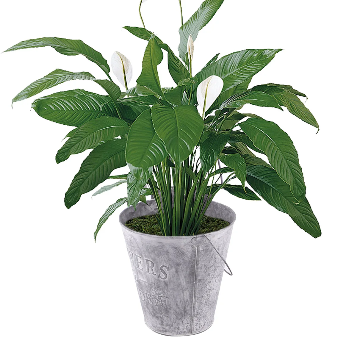 

Metal Iron Flower Pot Outdoor Ornaments Flowerpot Wrought Home Decor Decorative