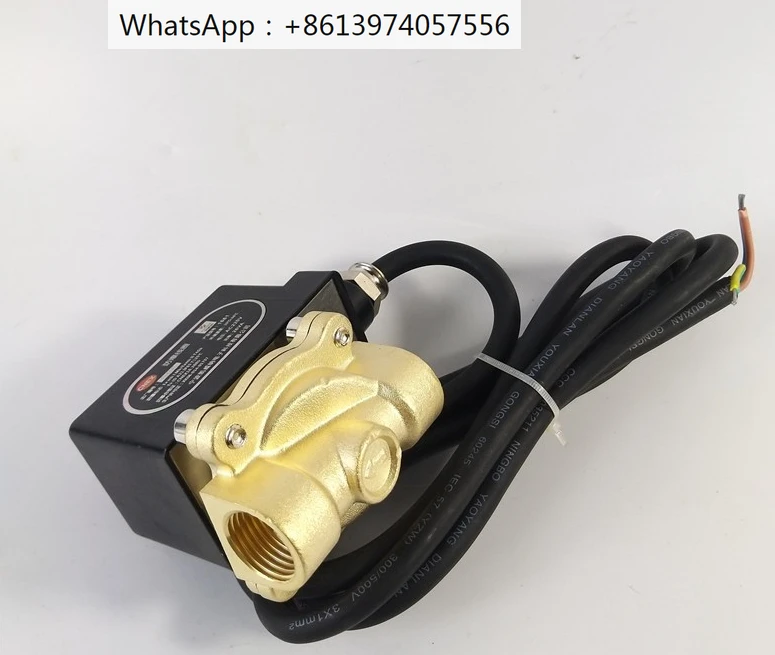 Explosion-proof solenoid valve 2W160-15Z two-way copper explosion-proof trap gas  oil  4 points DN15 G1/2