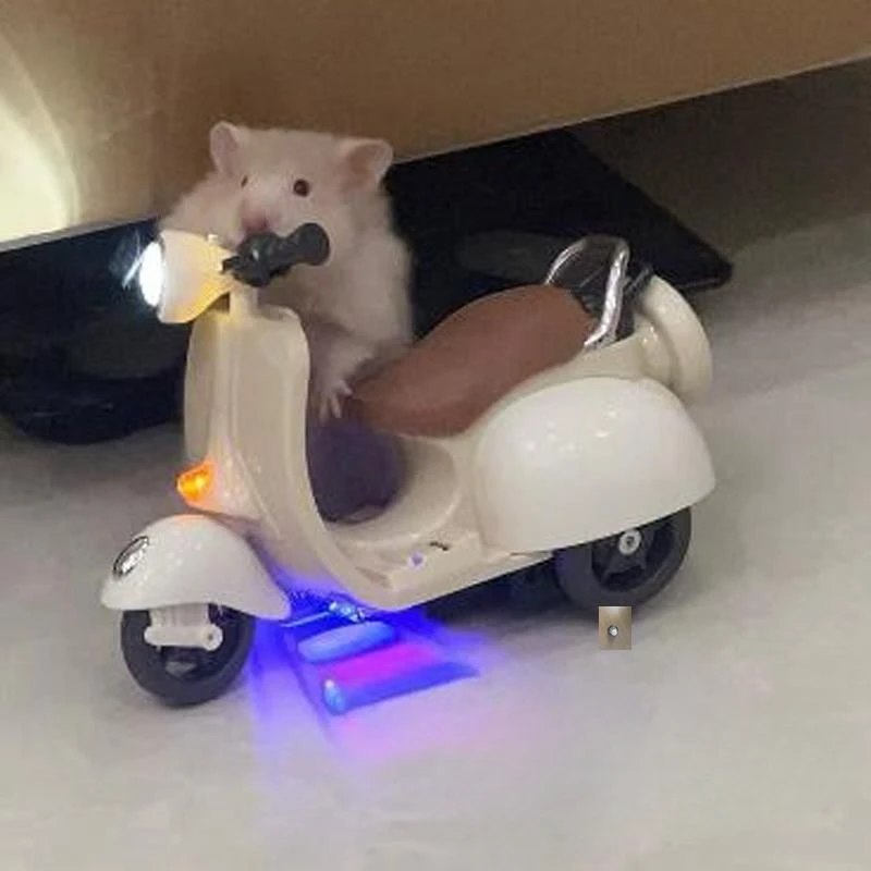 Hamster Toy with 360 Degree Rotation Colorful Lighting Electric Motorcycle with Sound Effect Golden Wire Bear Toy Pet Accessory