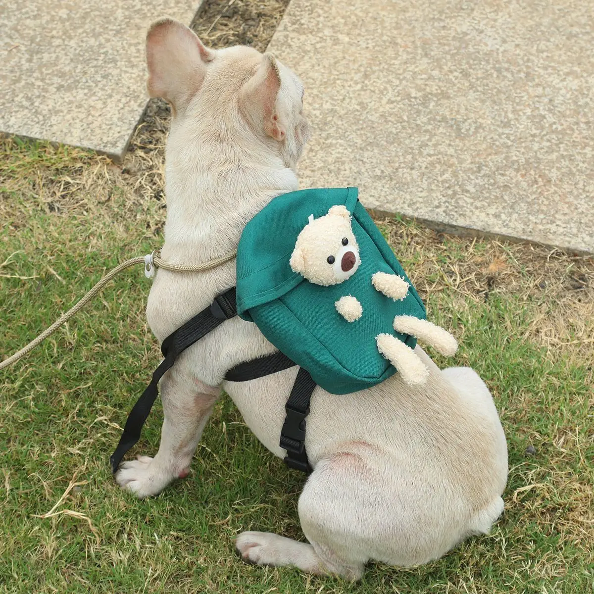 

Pet Backpack For Dogs Puppy Bag Portable Travel Backpack Outdoor Travel Dog Snacks Backpack Small Medium Large Dog Accessories