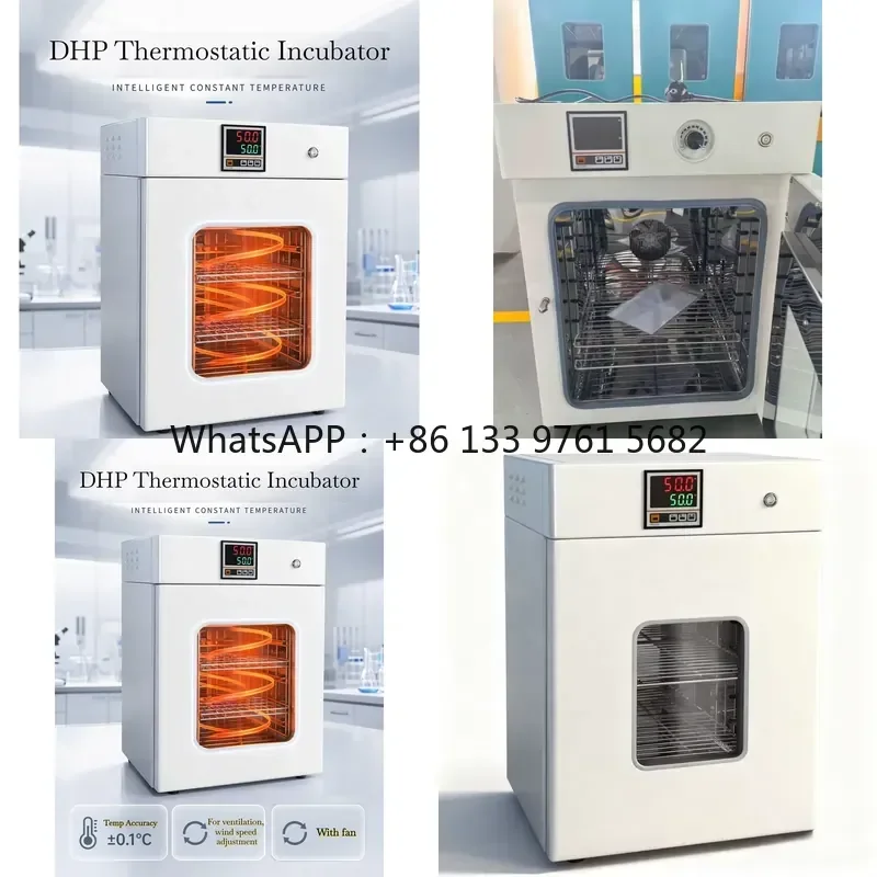 WSQ DHP 50 Liter Laboratory Electric Heating Incubator Constant Temperature Chamber Thermostat Device for Microbiological