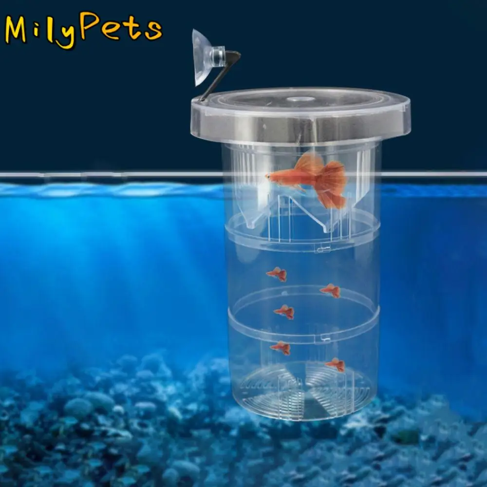 Suction Cup Floating Hatching Box Detachable Plastic Fish Tank Incubator Semi-transparent Guppy Breeding Box