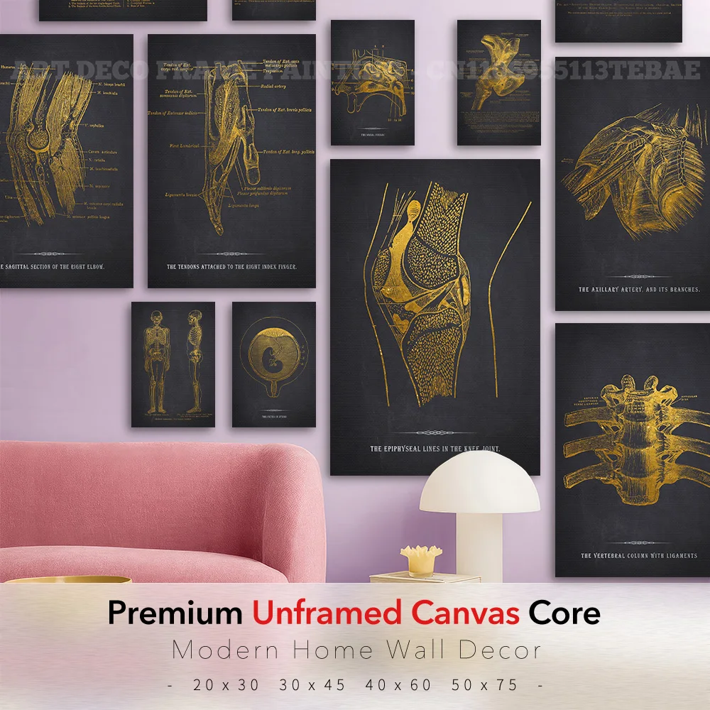 Retro Vintage Anatomy Canvas Wall Art Print Vintage Joints Artery Tendons Spine Elbow Eye Medical Bedroom Modern Home Accent