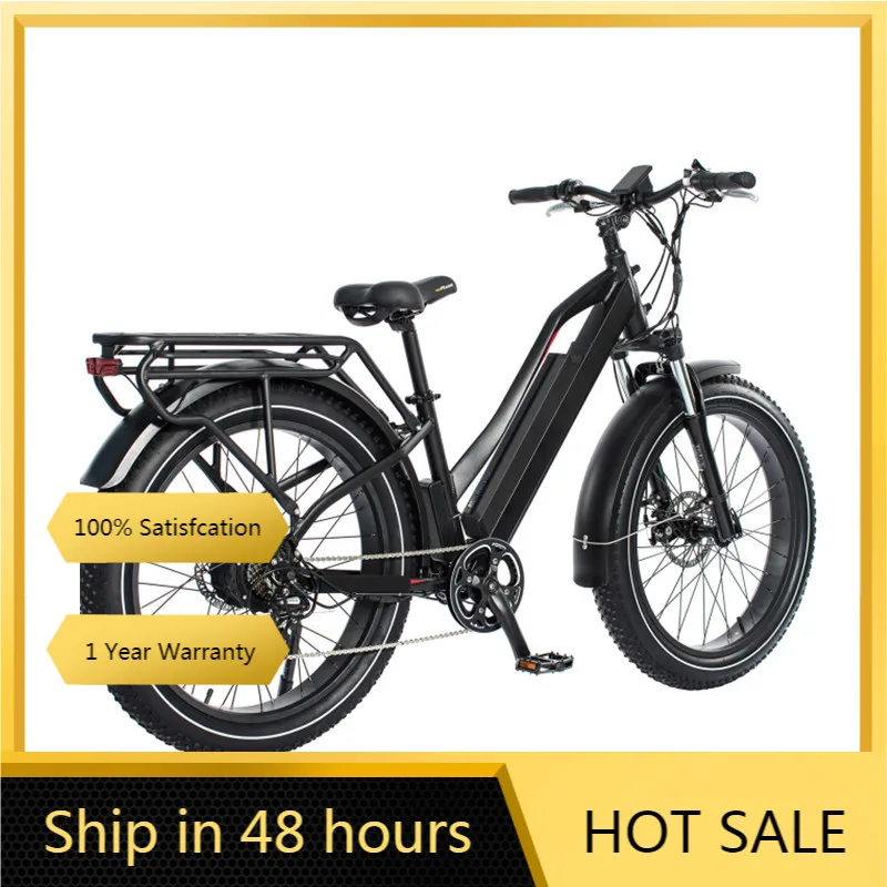 

STLF Top Sale Factory Direct Sale Electric Bicycle Fat Tire Bike E-bike