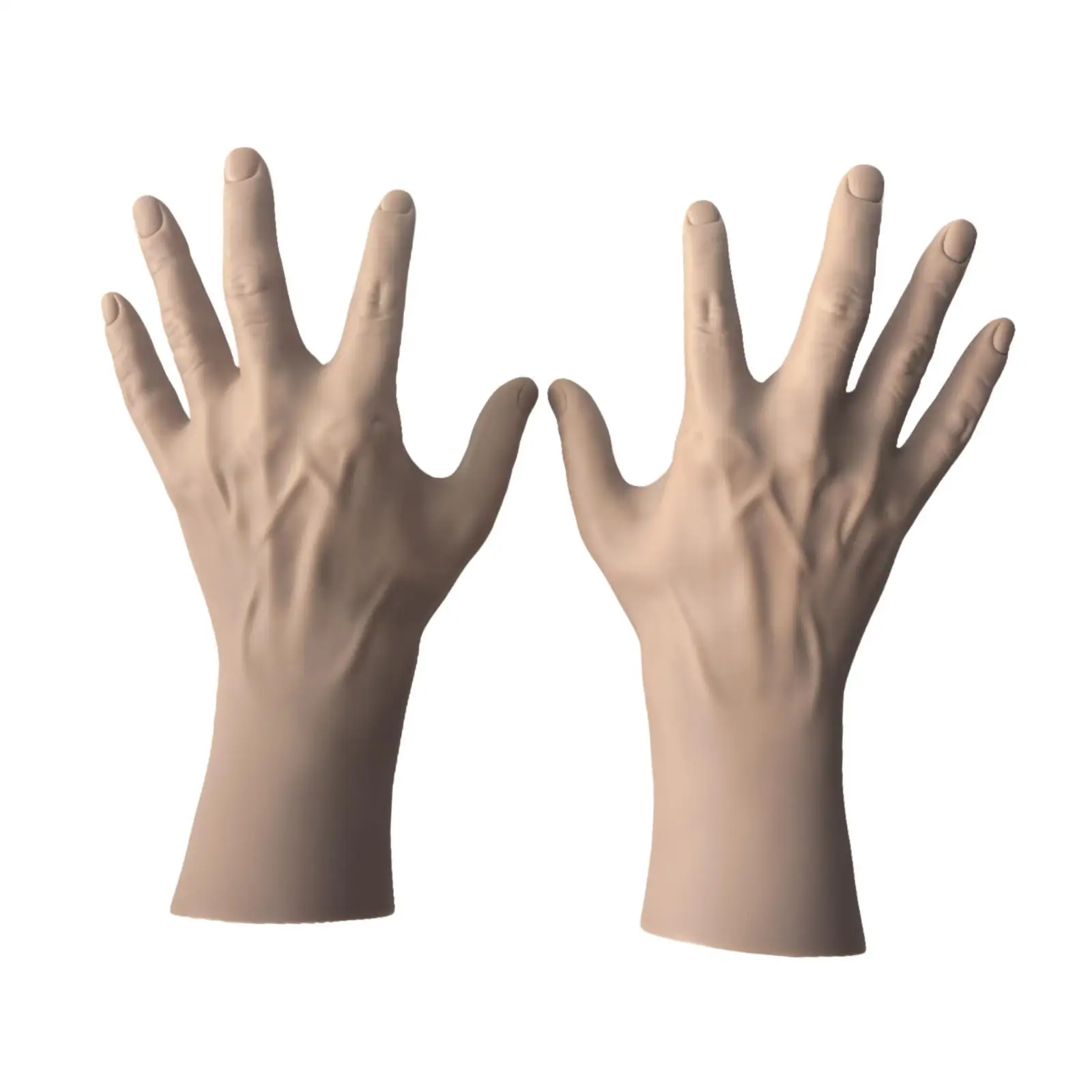 2 Pieces Left and Right Human Hand Mannequin Male Hand Model Realistic Props Jewelry Organizer Stand for Bracelet Rings Home