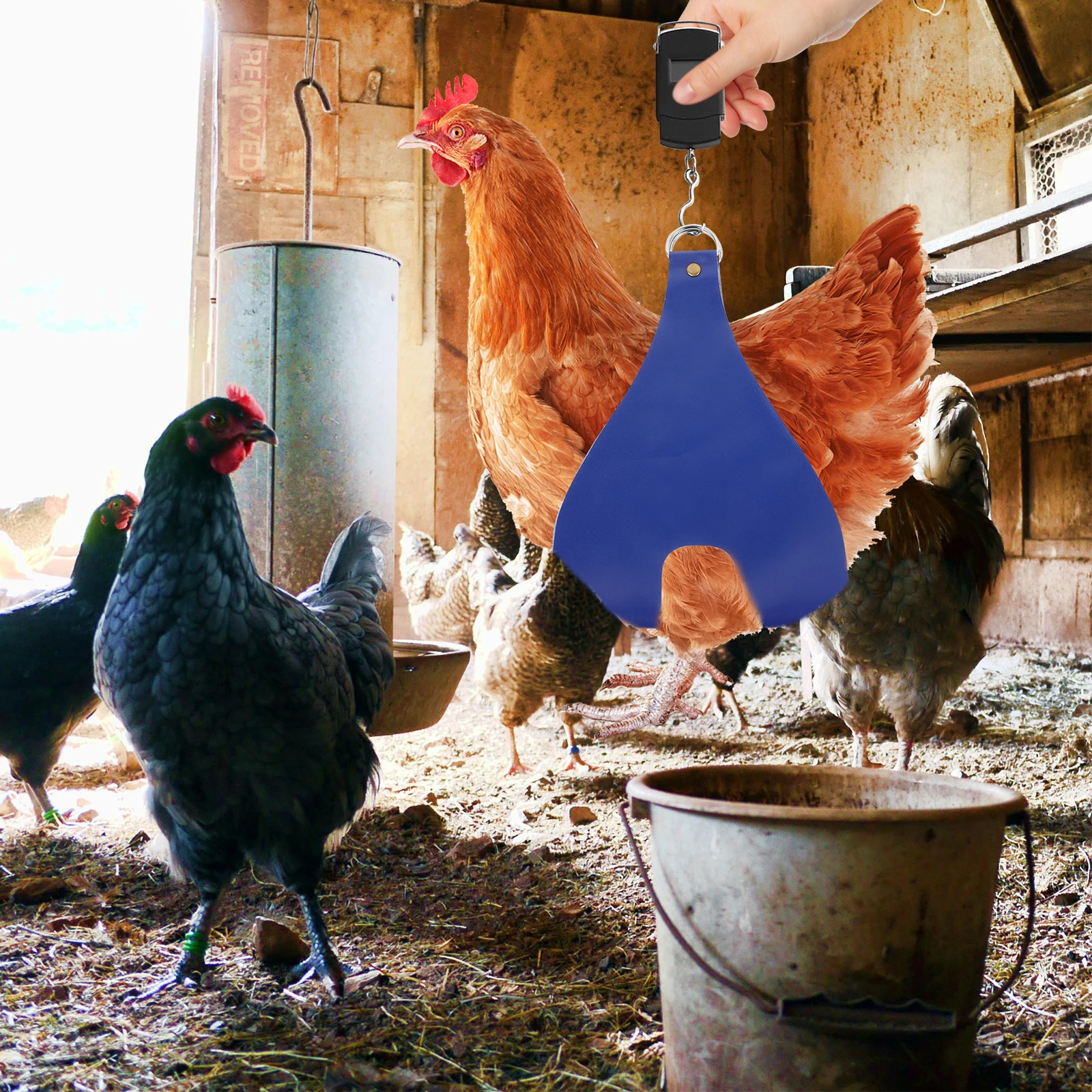 

Pet Weighing Bag Chicken Carrier Blue PU Lightweight Portable Handle Pouch for Chickens Ducks Rabbits Cats Easy Clean Removable