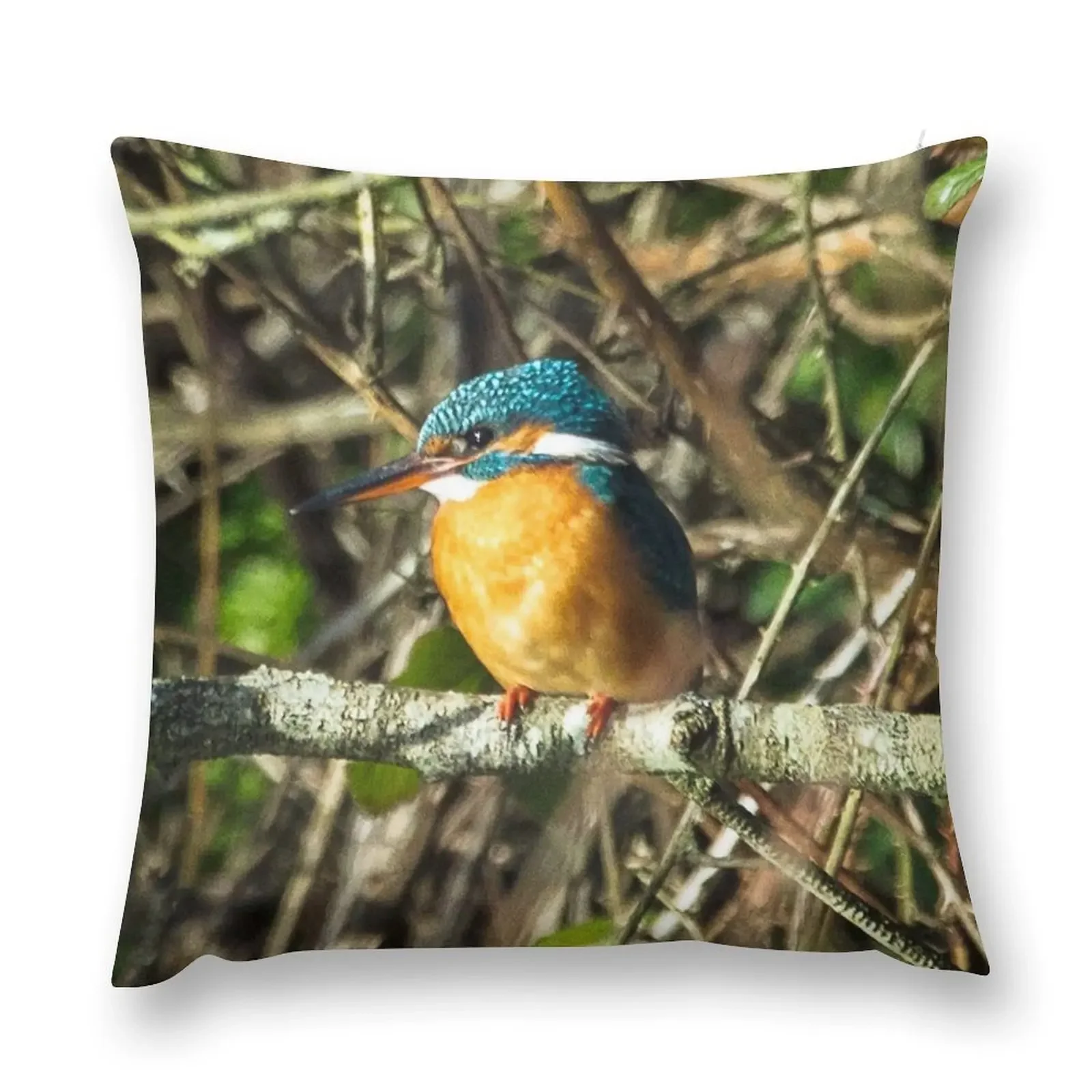 Female Kingfisher enjoying the Sun Throw Pillow Luxury Pillow Case christmas cushions covers pillow