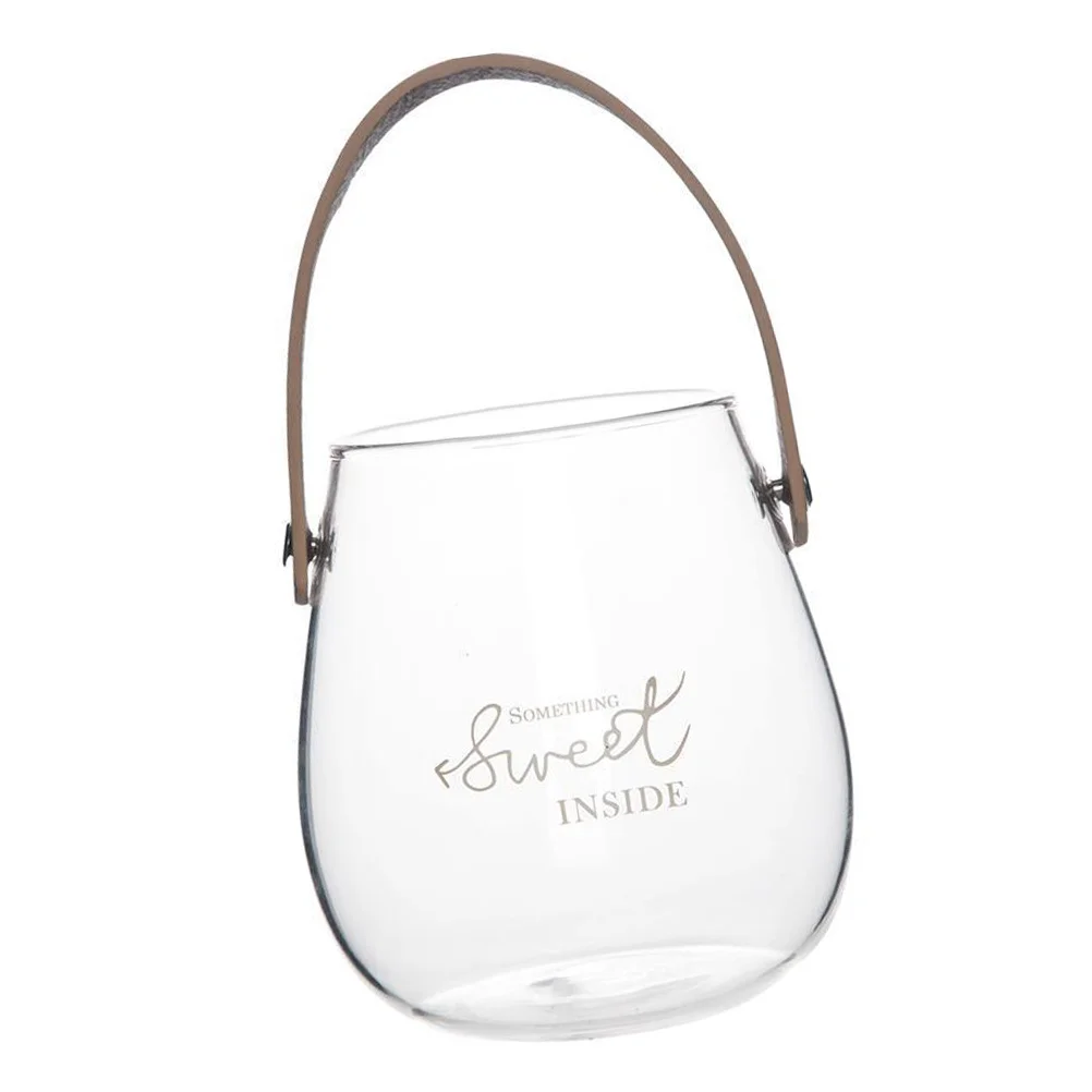 

1Pcs Handle Glass Vase Nordic Style Decorative Canister Indoor Plant Flower Vessel Household Furnishing