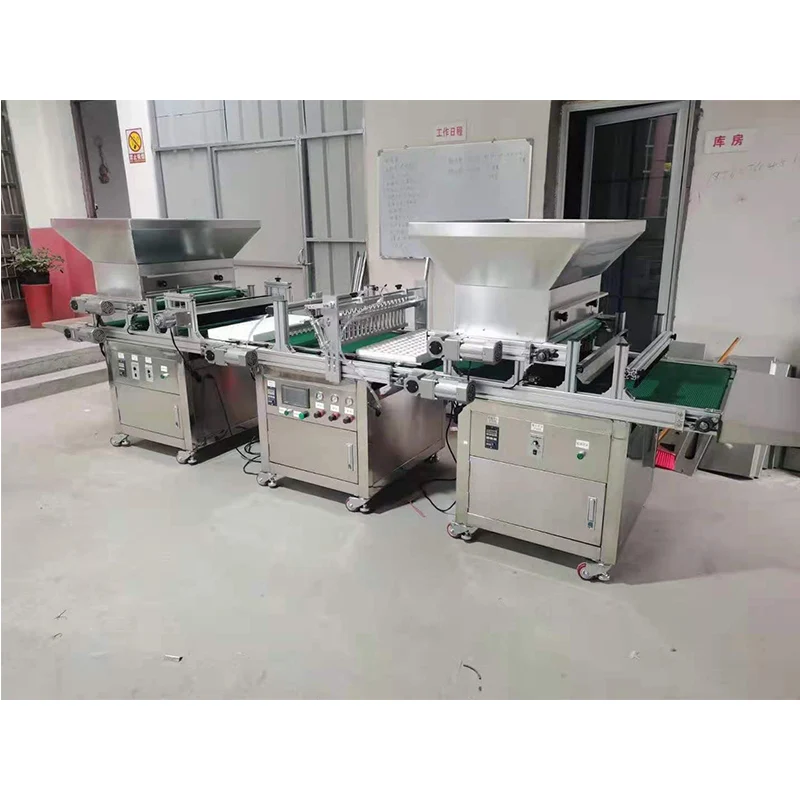 Automatic Seedling Tray Seeder Vegetable And Fruit Seeds Plug Tray Seeder Machine For Sowing Seeds Into Seedling Trays