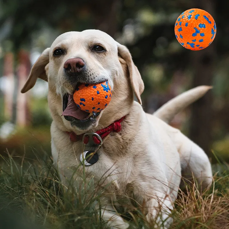 Pet Dog Toy Ball Light Chew Rubber Ball High Elastic Bite Resistance Interactive Throwing Flying Toys For Dogs Pet Accessories