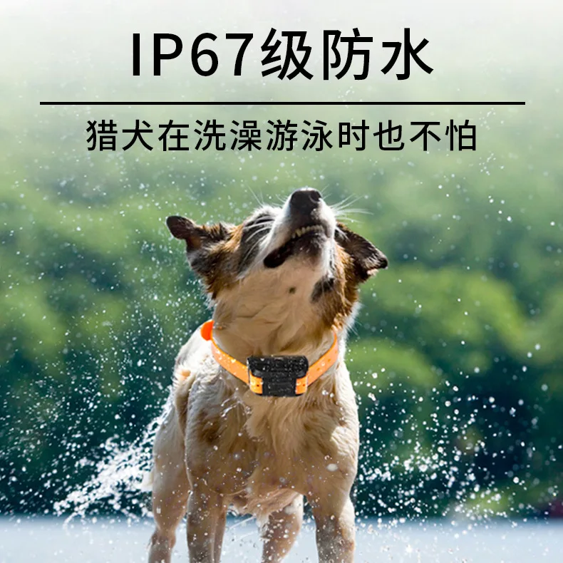 Localizador 4G Hound Localizador de animais de estimação GPS Beidou GPS Localizador