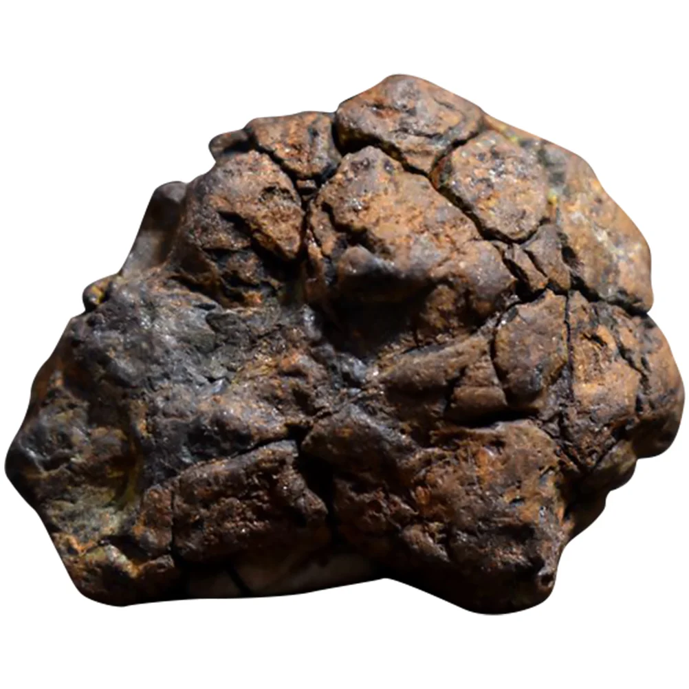 

Olive Meteorite Decoration Educational Plaything Sample Real Teaching Tool Specimen Child
