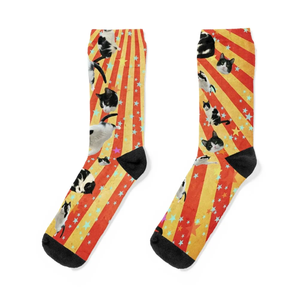 

Ringling the Circus Cat Socks kawaii luxe gifts Stockings compression Designer Man Socks Women's
