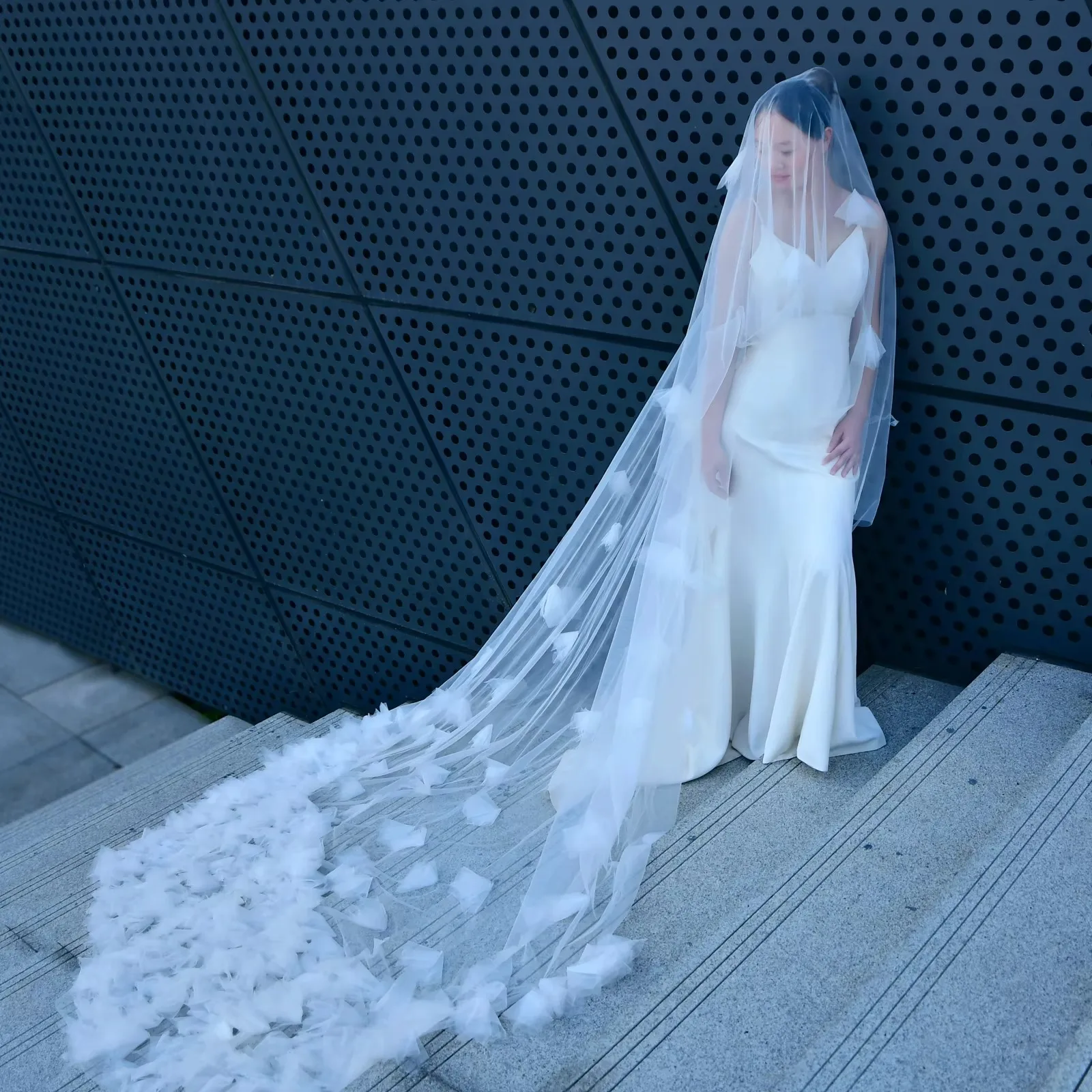 2 Tier Bridal Veil Luxury Romance Wedding Veil 5M Long Cathedral Style Soft Bridal Illusion with Comb Bride Accessories