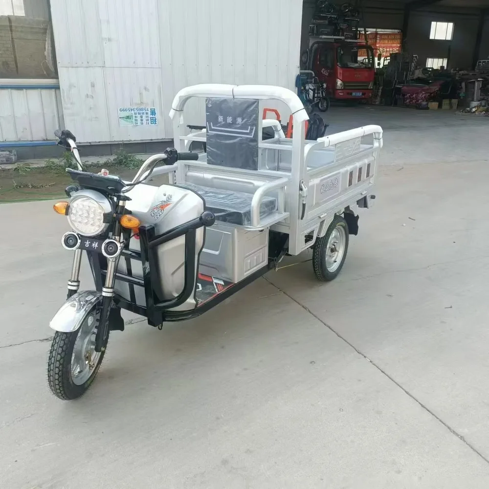 Electric Cargo Tricycle 1000W Motor, Adult 3-Wheel Electric Bike for Delivery, Heavy-Duty Electric Trike with Large