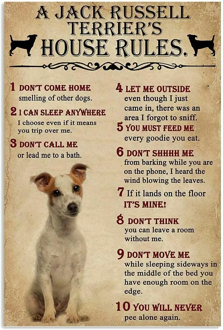 Retro Vintage Metal Sign A Jack Russell Terrier's ??House Rules Tin Sign for Bar Cafe Club Wall Decoration Plaque 12x16 Inch