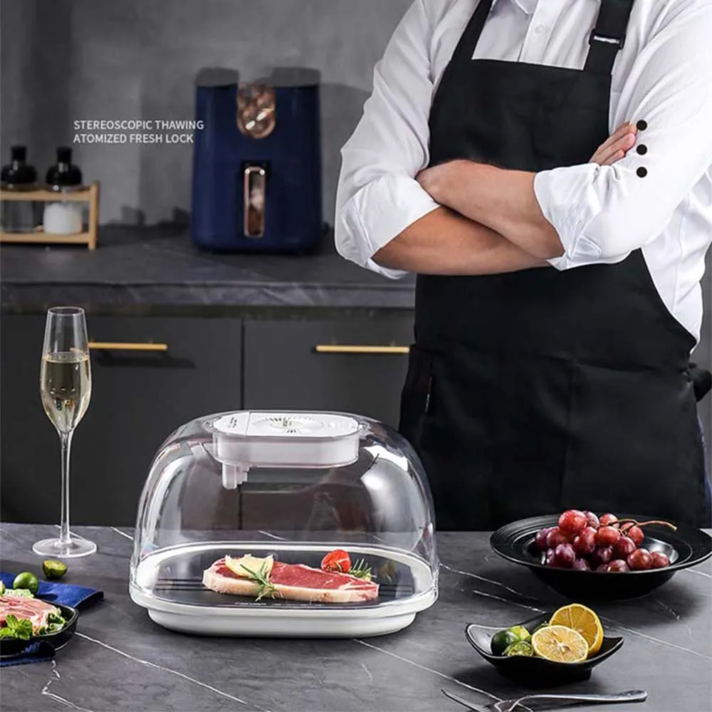 

Multifunctional defroster Household food defroster Convenient and fast steak defroster